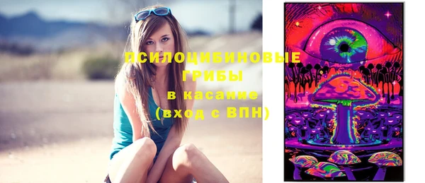 прущие крисы Алексеевка