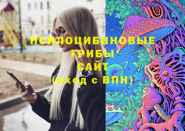твердый Алзамай
