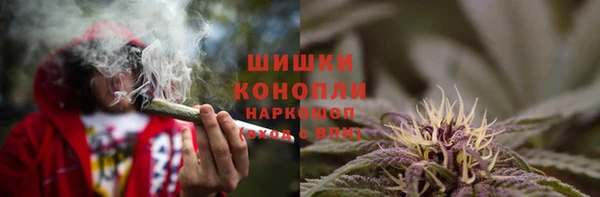твердый Алзамай