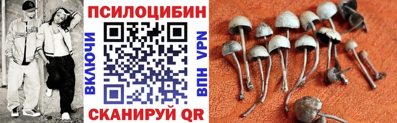 Галлюциногенные грибы прущие грибы  Аргун 