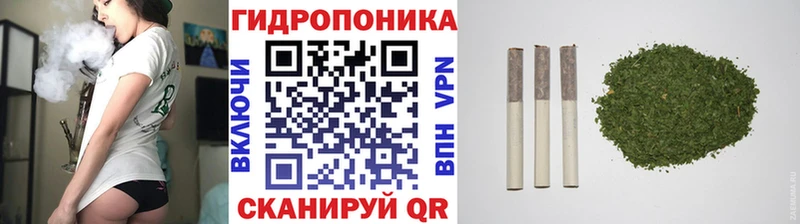 kraken вход  Аргун  Марихуана Amnesia 